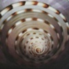 shell spiral