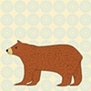 bear print