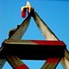 Caution Crossing