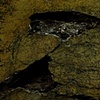 Crater