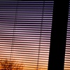 Blind Sunset