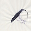 Nun (L'amour Humain) 