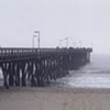 Dear Pier,

