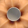 Flesh Brooch
