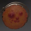 Magnifying Reflection Mirror #5 (2nd view)