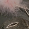 Aphrodisiac Rose Pomander
