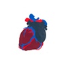 This heart of mine / ANATOMY
Anat Litwin, Paper Cutout, 19" x 19", 2009