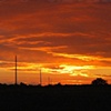 'hopulikit sundown'