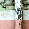 'neopolitan-like'