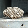 'mailbox hive'