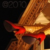 'red heels'