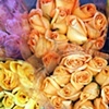 'for your sweetheart'