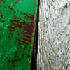 'hopulikit #659'
