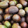'future guacomole'
