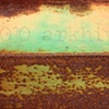 'hopulikit #536'