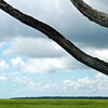 'coastal view'