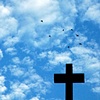 'cross + birds II'