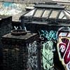 'chinatown rooftops'