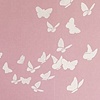 WHITE BUTTERFLIES