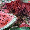 Exploded Watermelon on Picnic Blanket