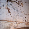2004