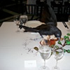 Still Lives with Crows, Brooklyn Museum Artists Ball