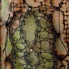 Parthenogeny