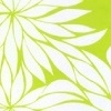 Graphic Design / Illustration