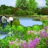 Conceptual Restoration Program Poster