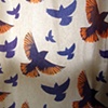 Sparrows 3 (kitchen curtains)