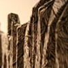 Hidden Shadows (detail)