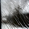Winter Tears