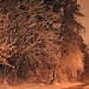 Midnight Snow