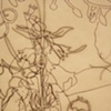 Root System II(detail)