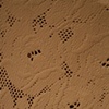 Observation Series (1 of 24)