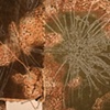Root Systems II (detail)