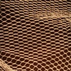 Observation Series (1 of 24)