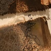 Root Systems II (detail)