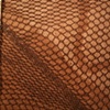 Observation Series (1 of 24)