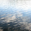 Untitled (Burnt Lake)