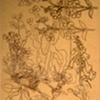 Root System II (detail)