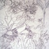 Root system I (detail)