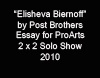Writing, essays and press