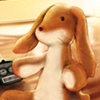 Velveteen Rabbit 3
