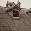 Roof with Gull