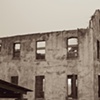 Three trees and building