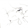 Selected Works from 1997-8