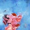 Untitled 8