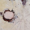 nest I