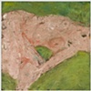 the new anatomy